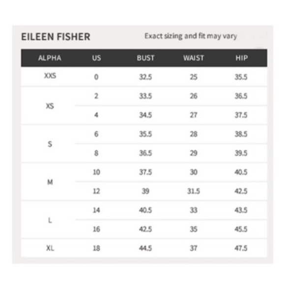 Eileen Fisher VINTAGE Top Jersey Ballet Neck XSmall 2 4 Bark Notched Hem NWT - Picture 10 of 13